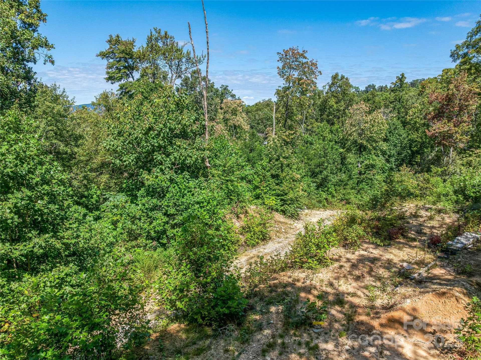 632 Justus Case Mountain Place - Photo 32