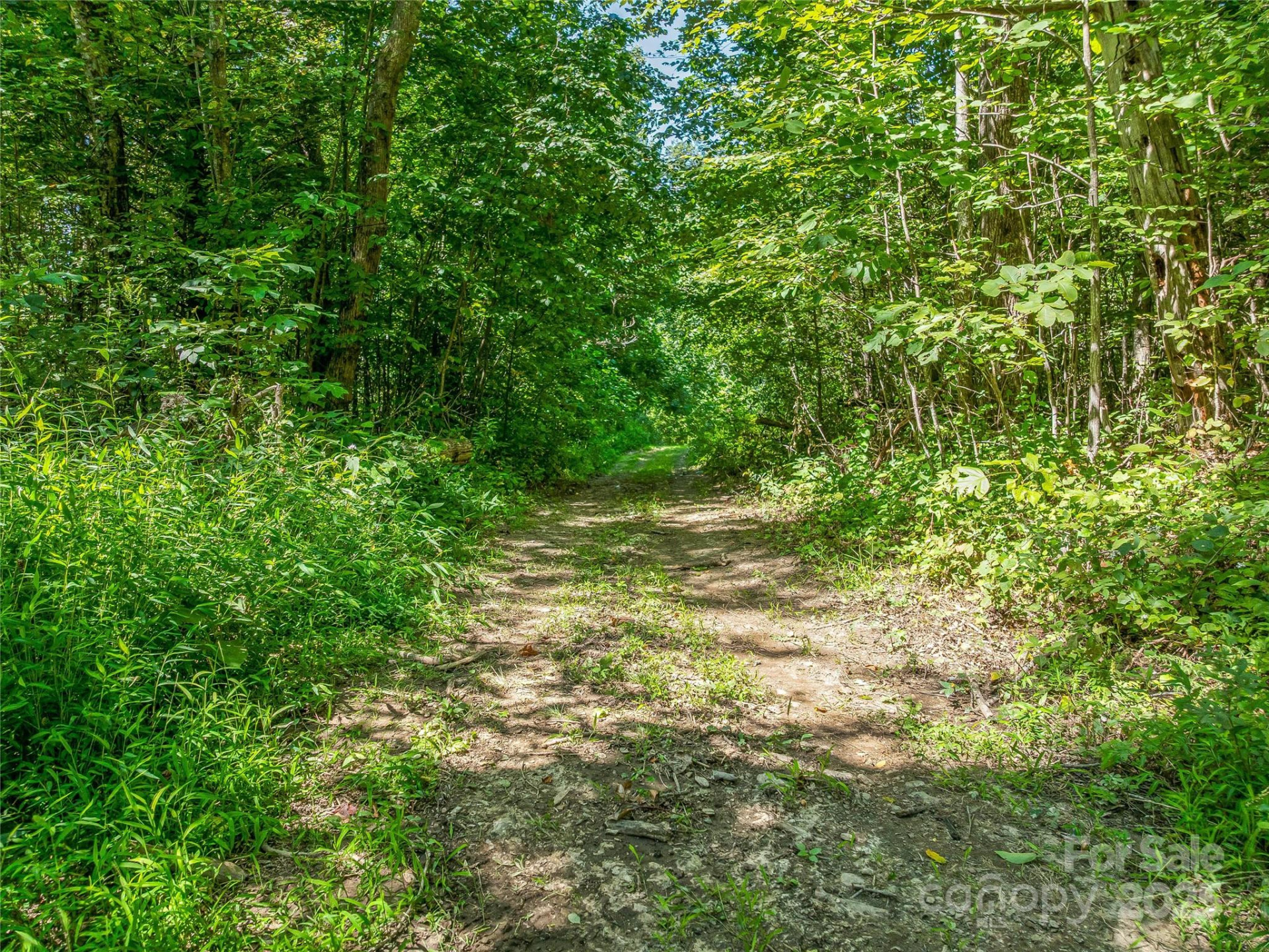 632 Justus Case Mountain Place - Photo 34