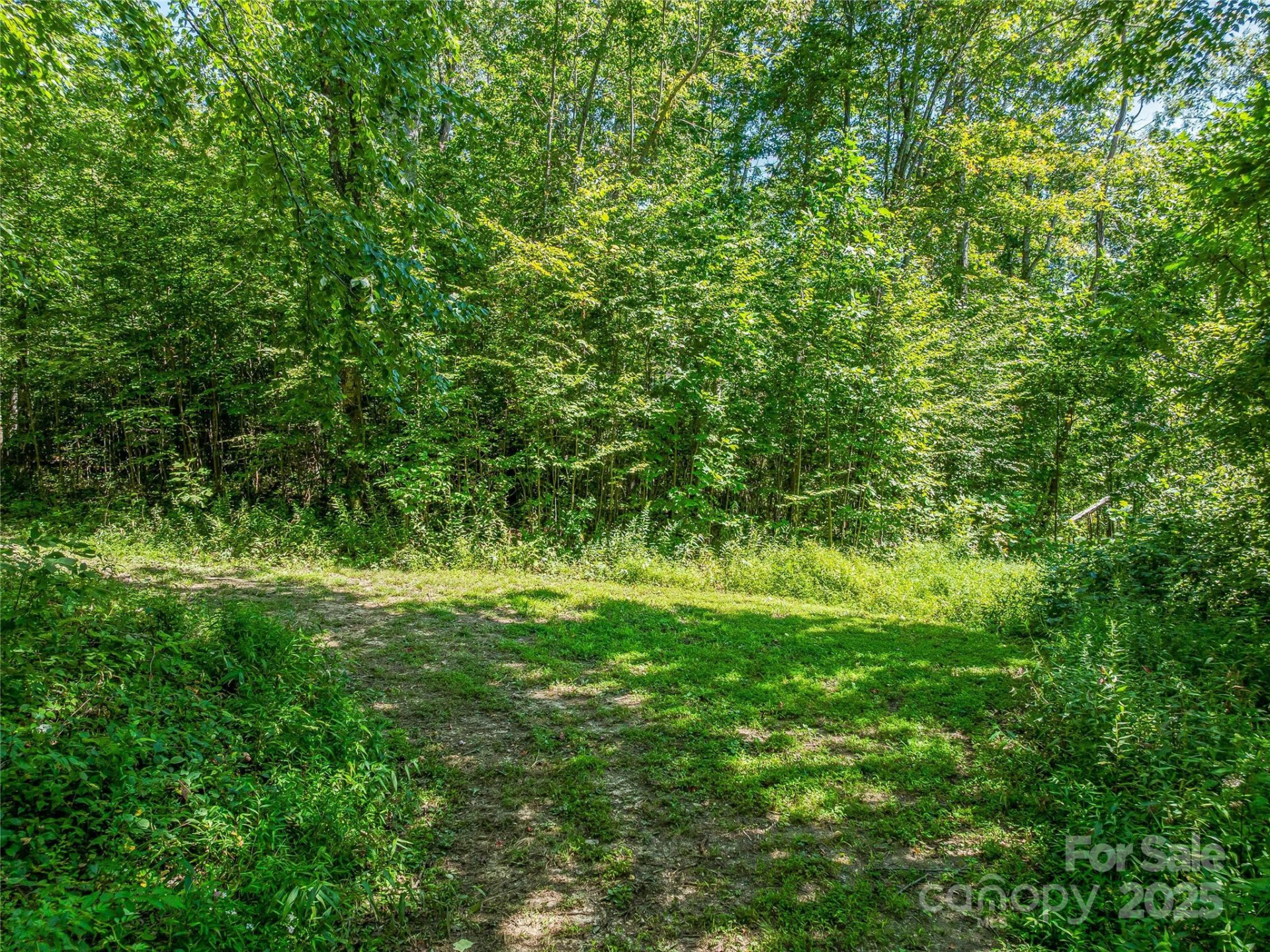 632 Justus Case Mountain Place - Photo 35