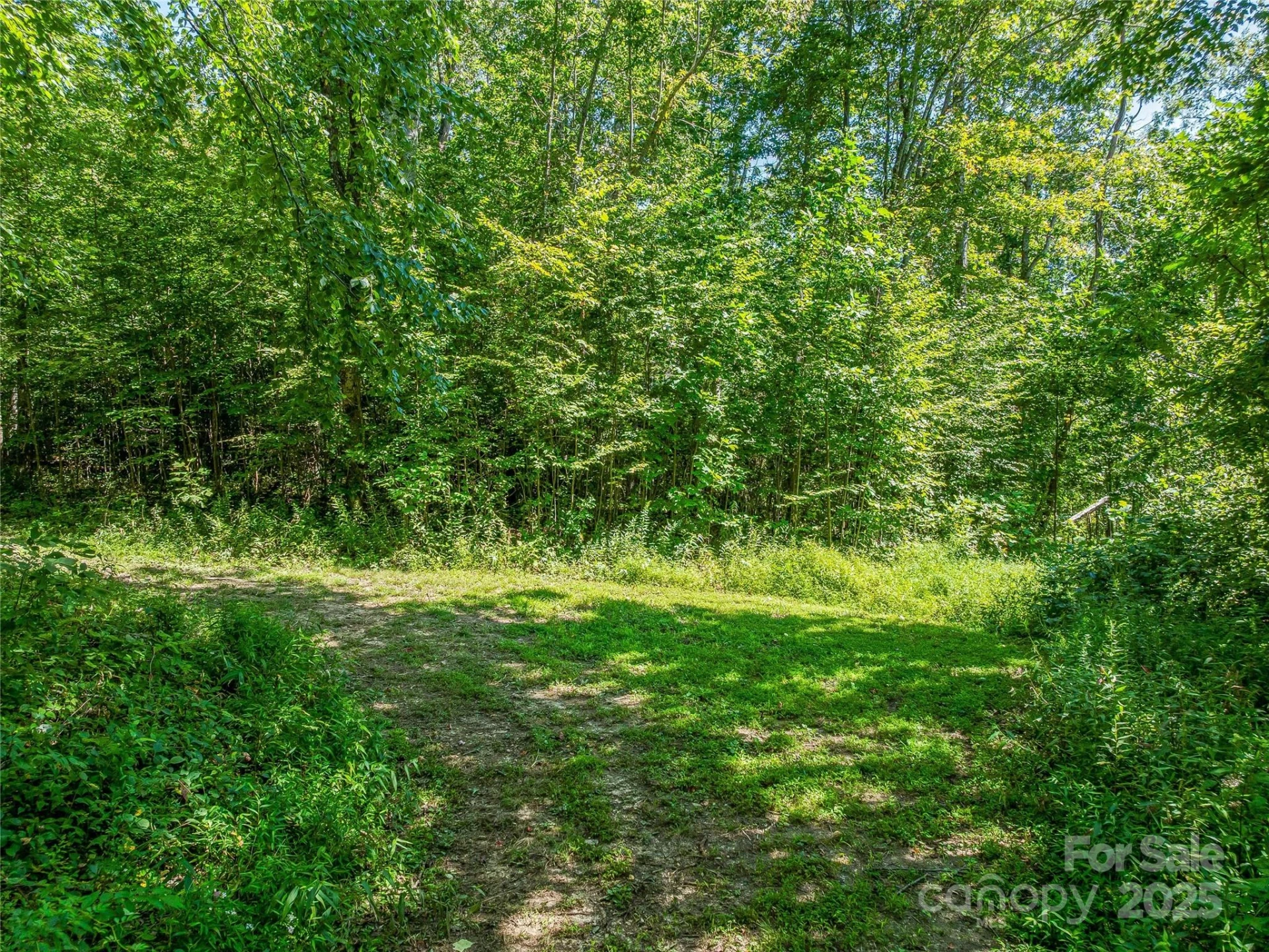 632 Justus Case Mountain Place - Photo 35