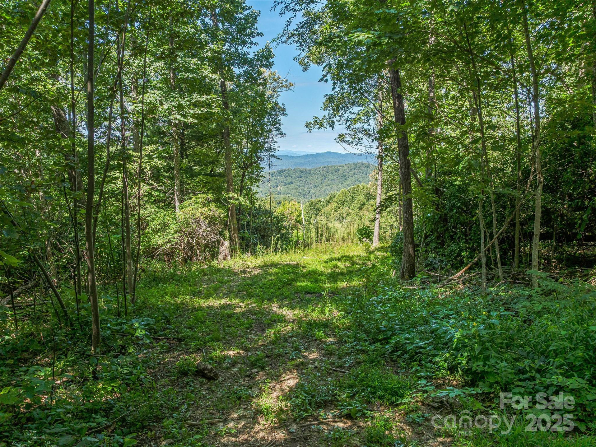 632 Justus Case Mountain Place - Photo 36