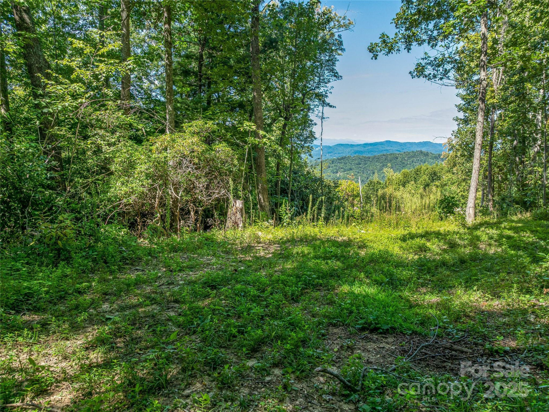 632 Justus Case Mountain Place - Photo 37