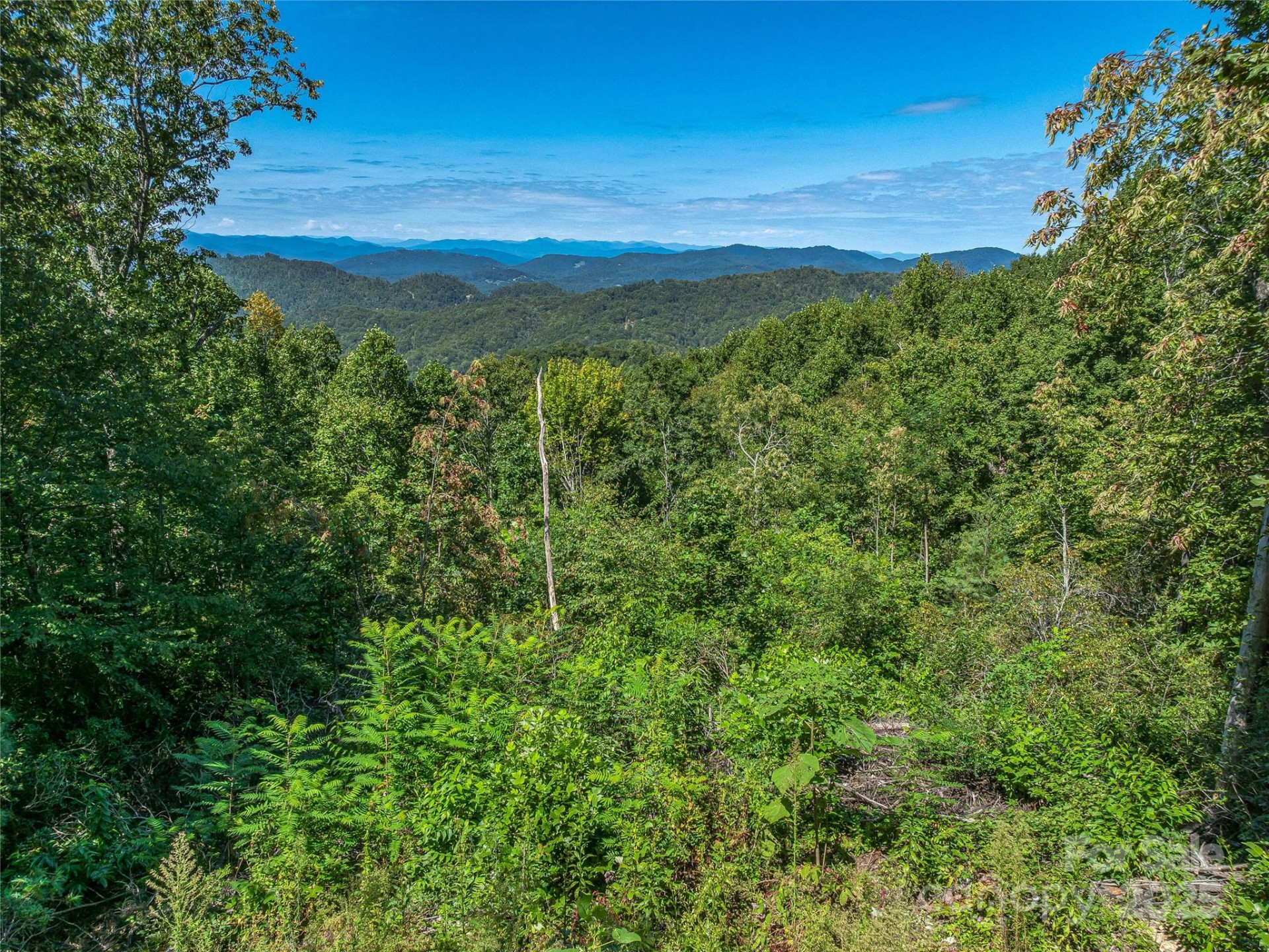 632 Justus Case Mountain Place - Photo 38