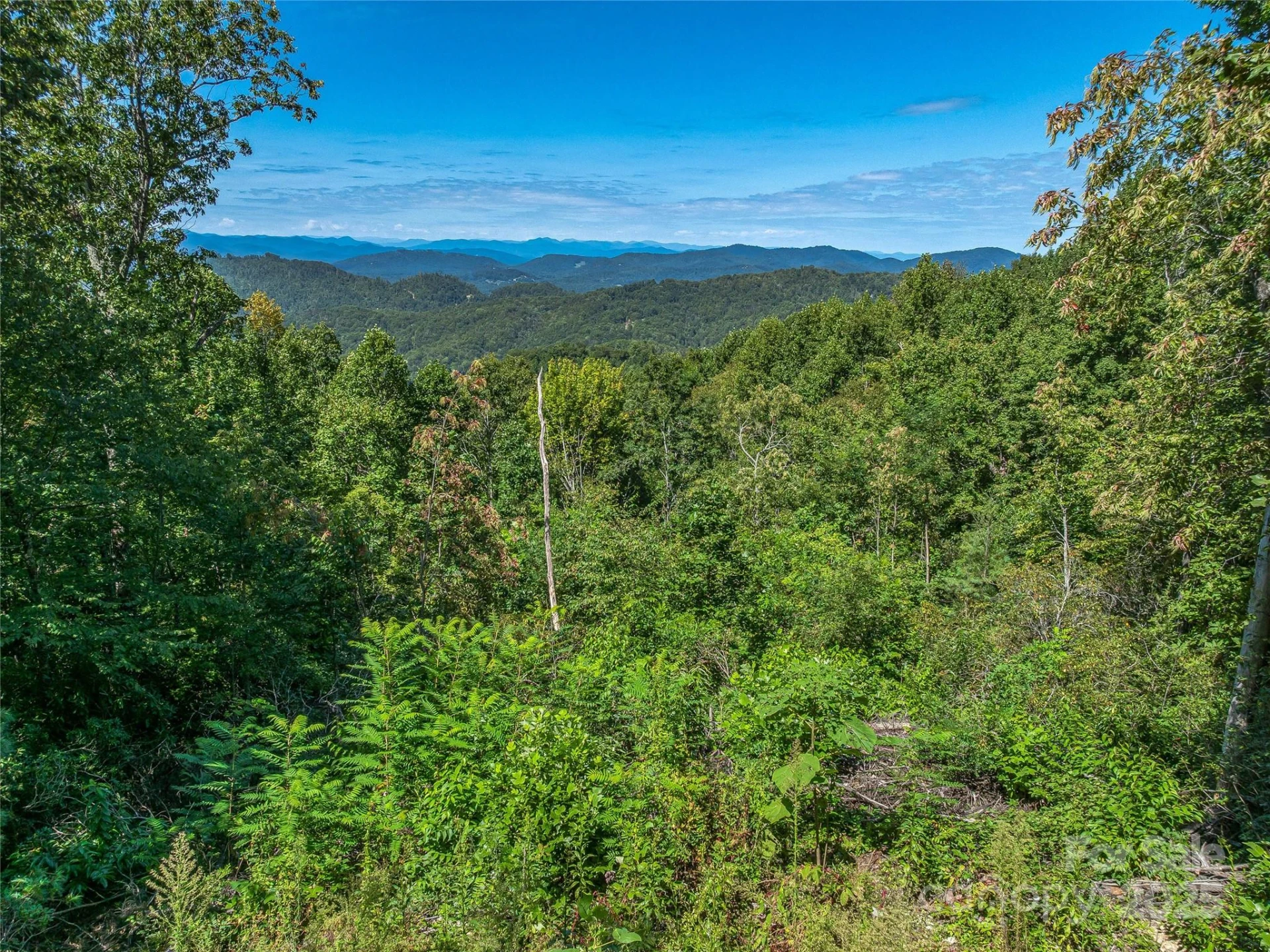 632 Justus Case Mountain Place - Photo 38