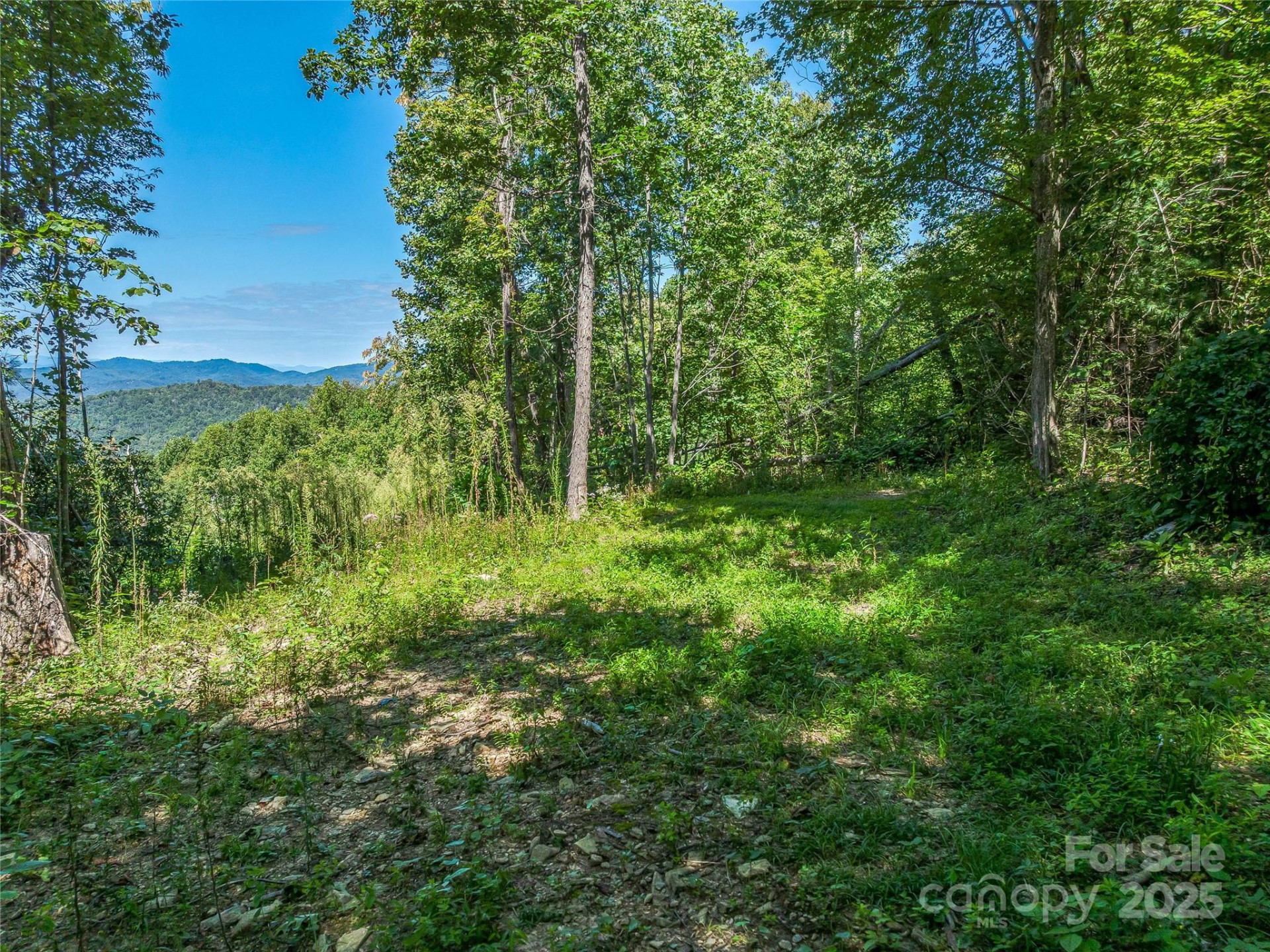 632 Justus Case Mountain Place - Photo 39