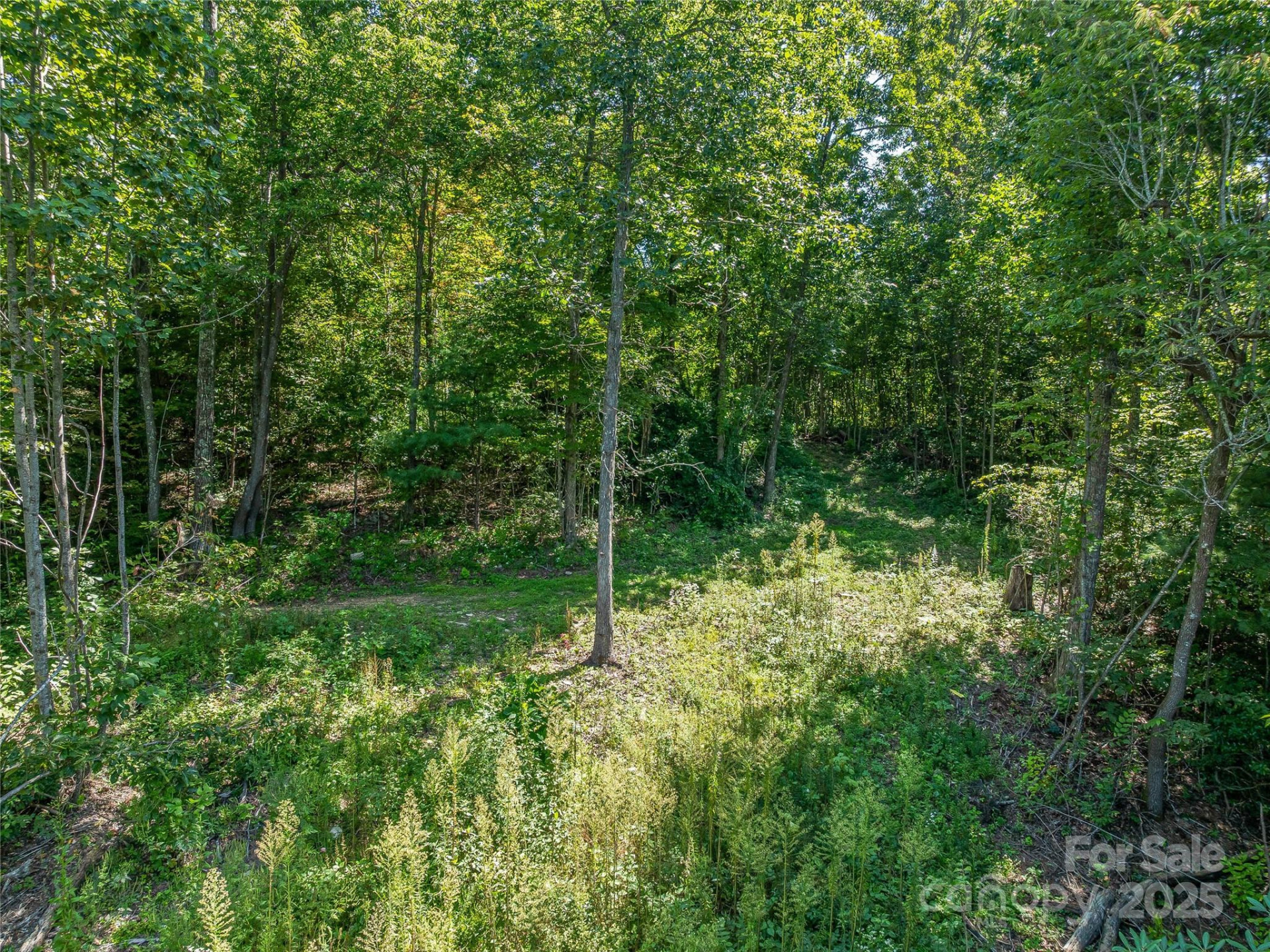 632 Justus Case Mountain Place - Photo 40