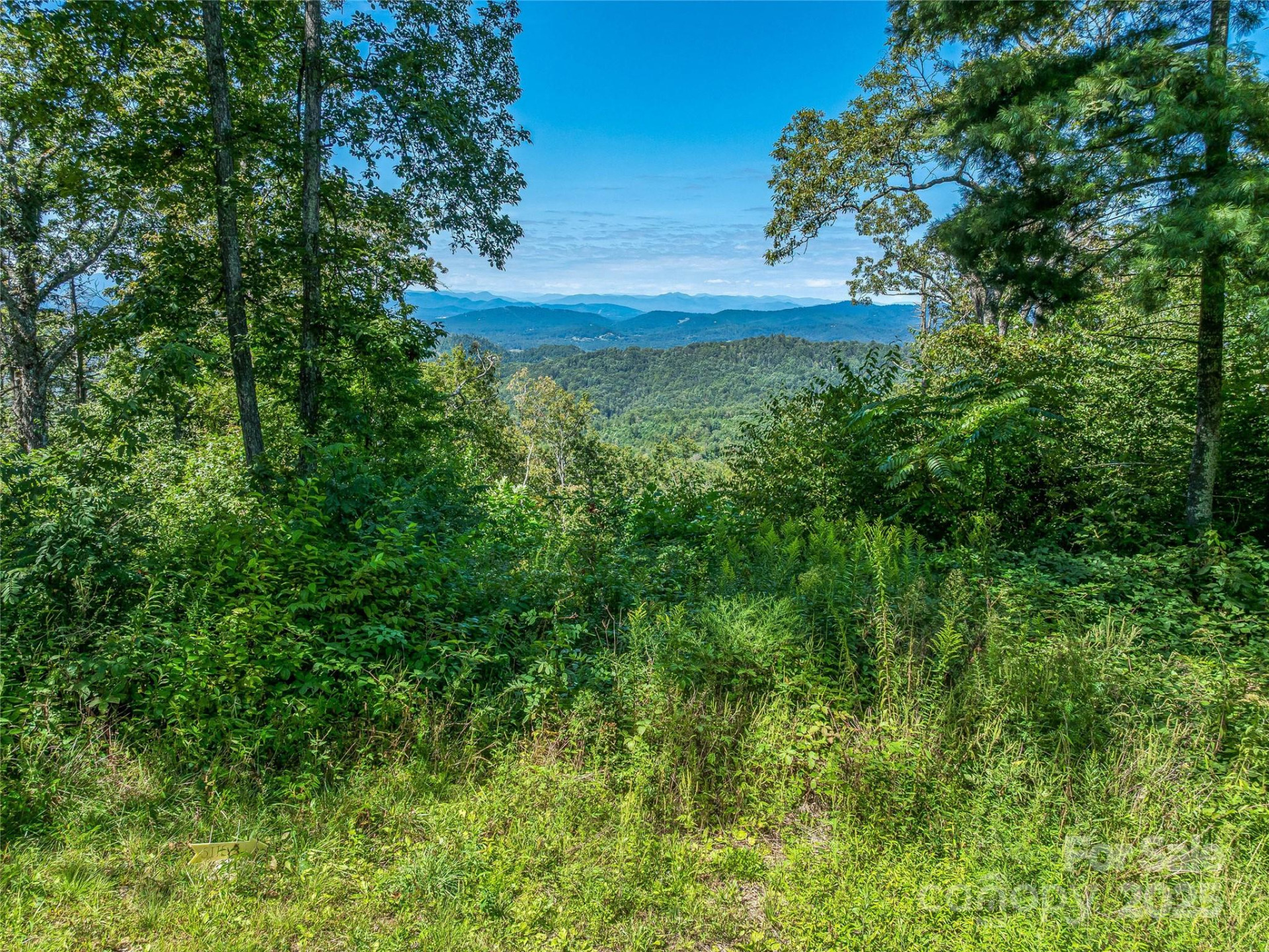 632 Justus Case Mountain Place - Photo 5