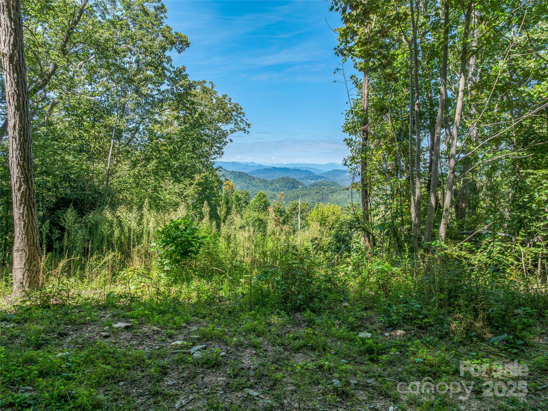 632 Justus Case Mountain Place - Photo 41