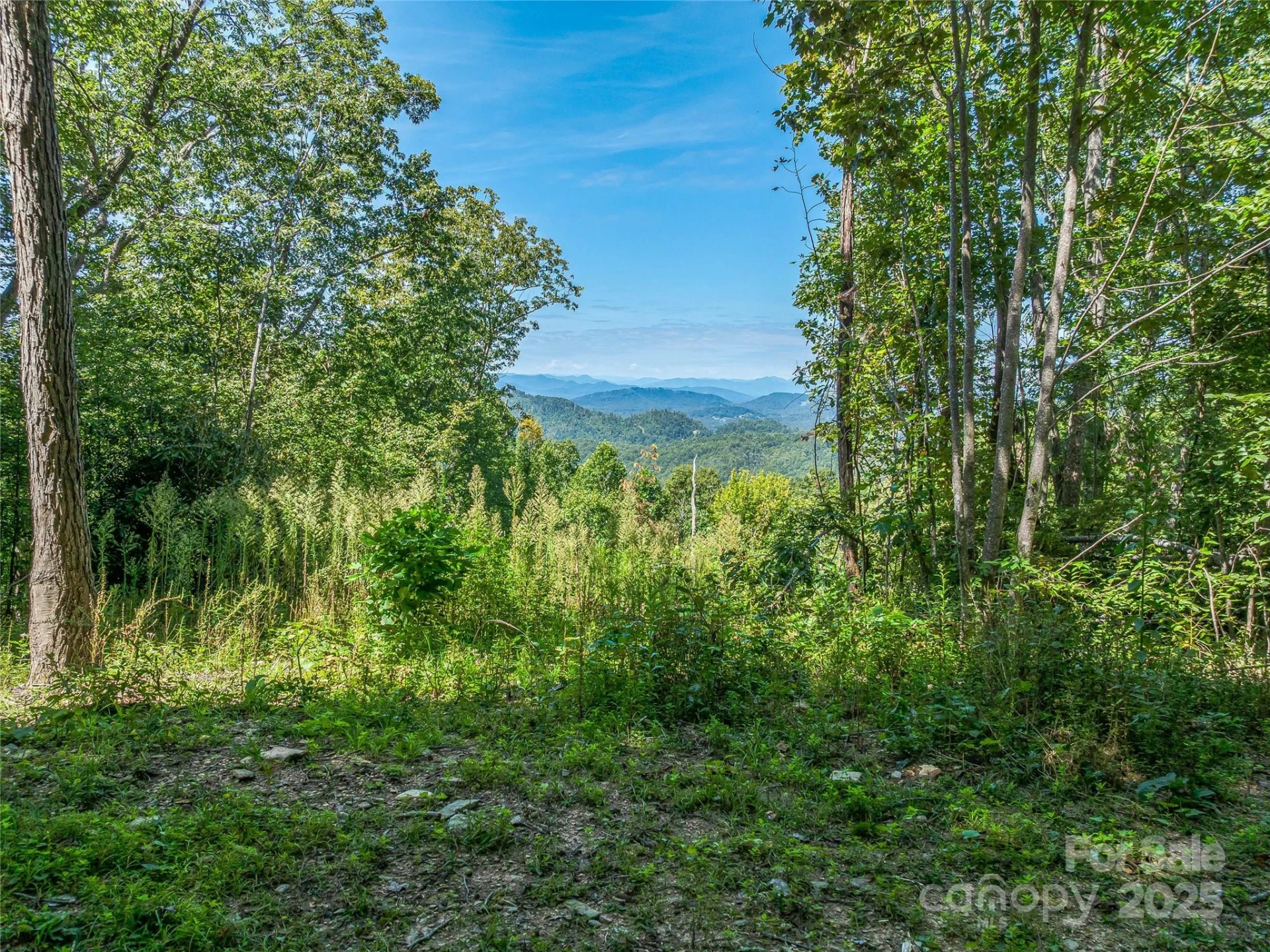 632 Justus Case Mountain Place - Photo 41