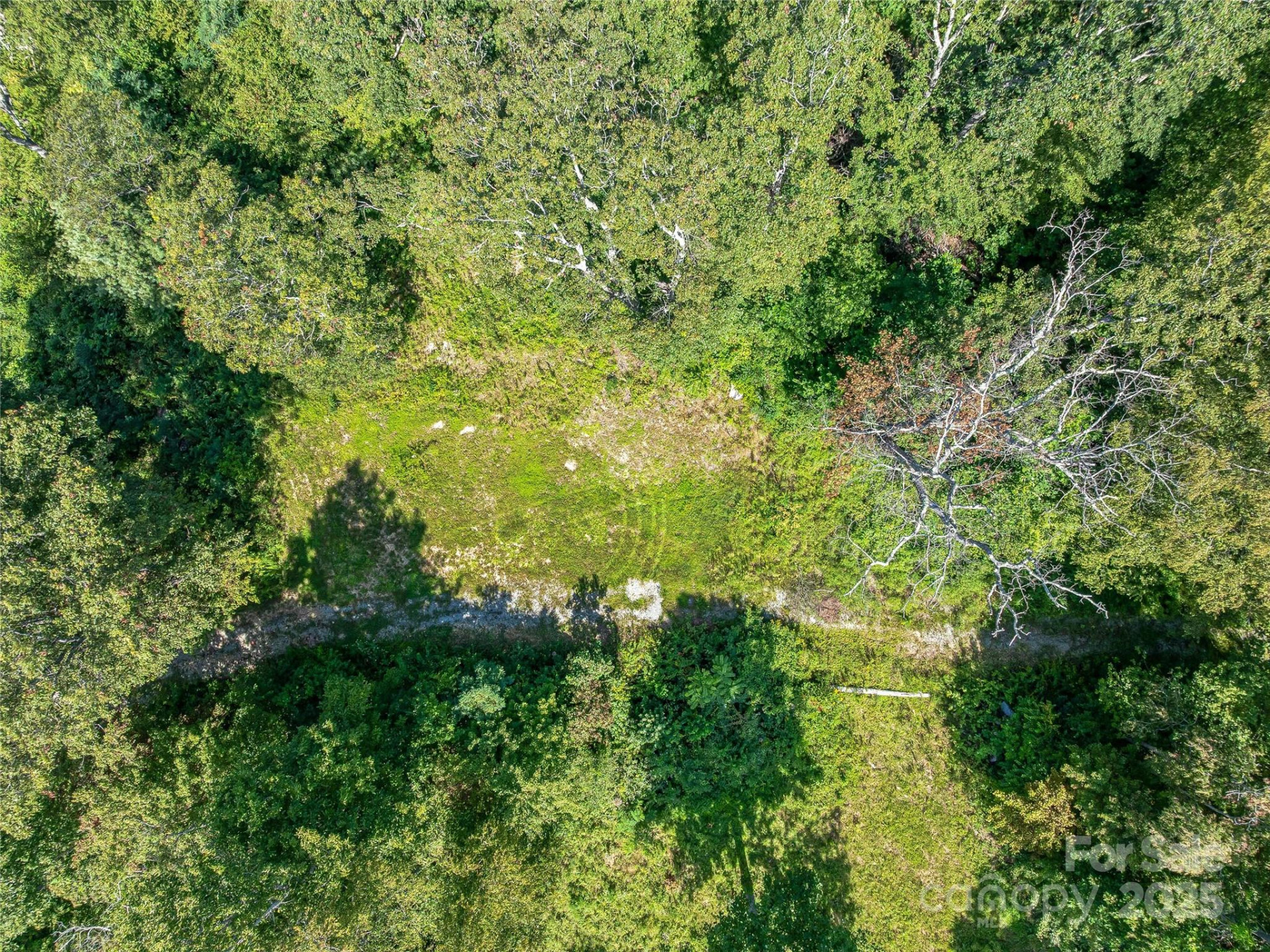 632 Justus Case Mountain Place - Photo 43