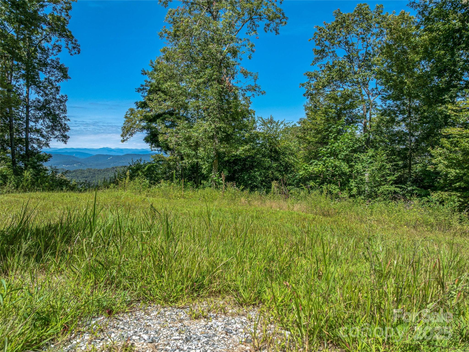 632 Justus Case Mountain Place - Photo 46