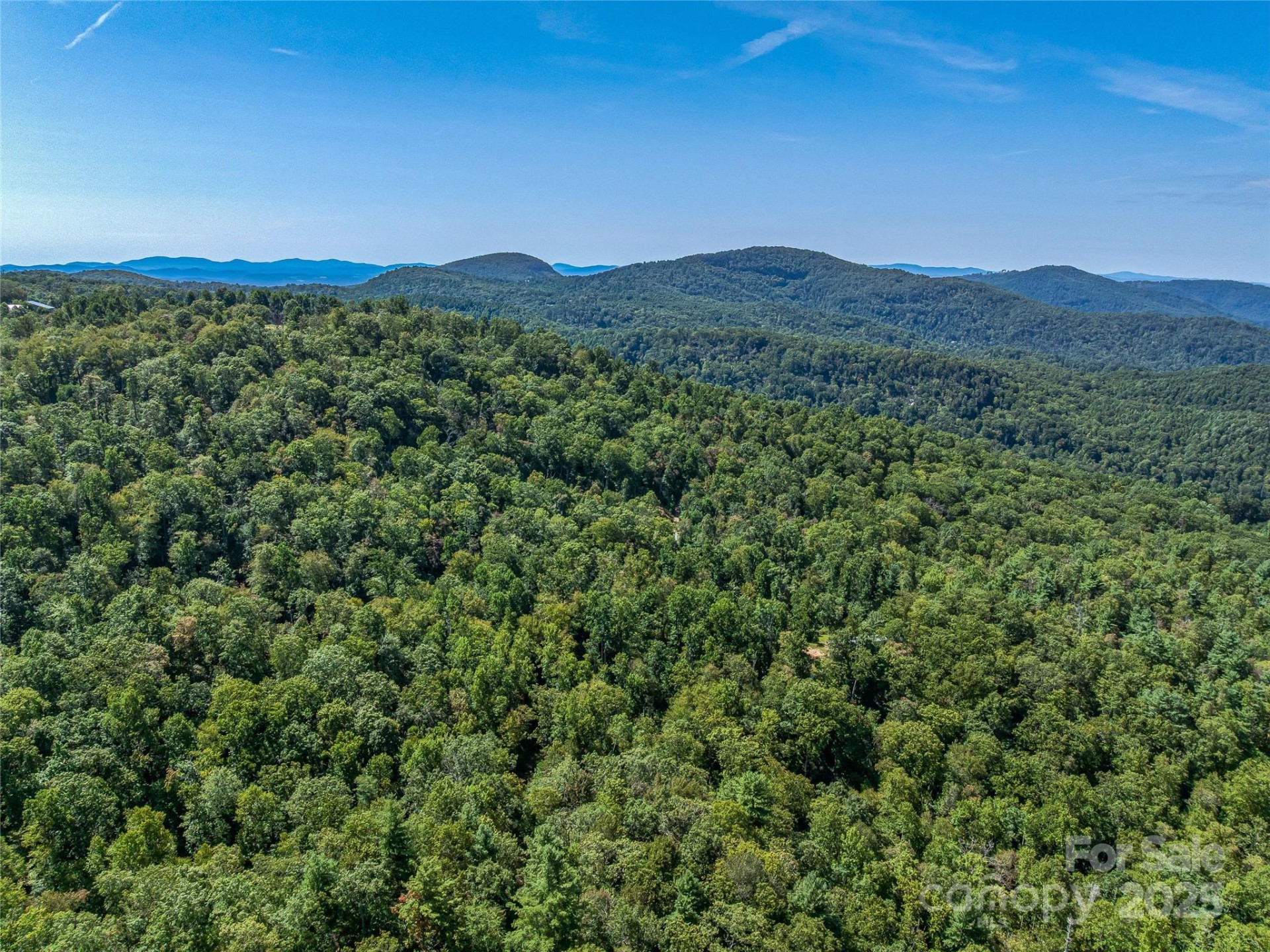 632 Justus Case Mountain Place - Photo 6