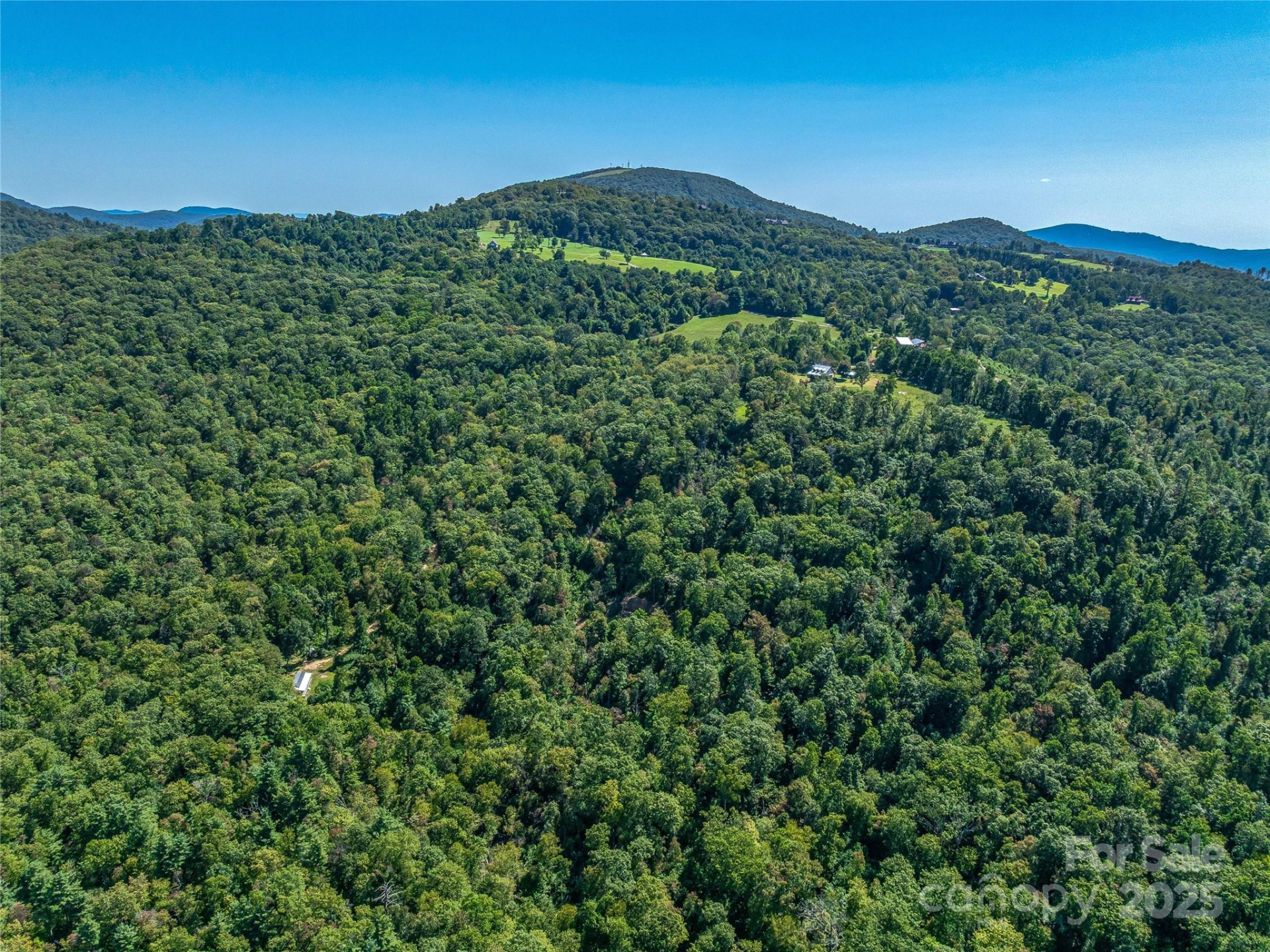 632 Justus Case Mountain Place - Photo 8