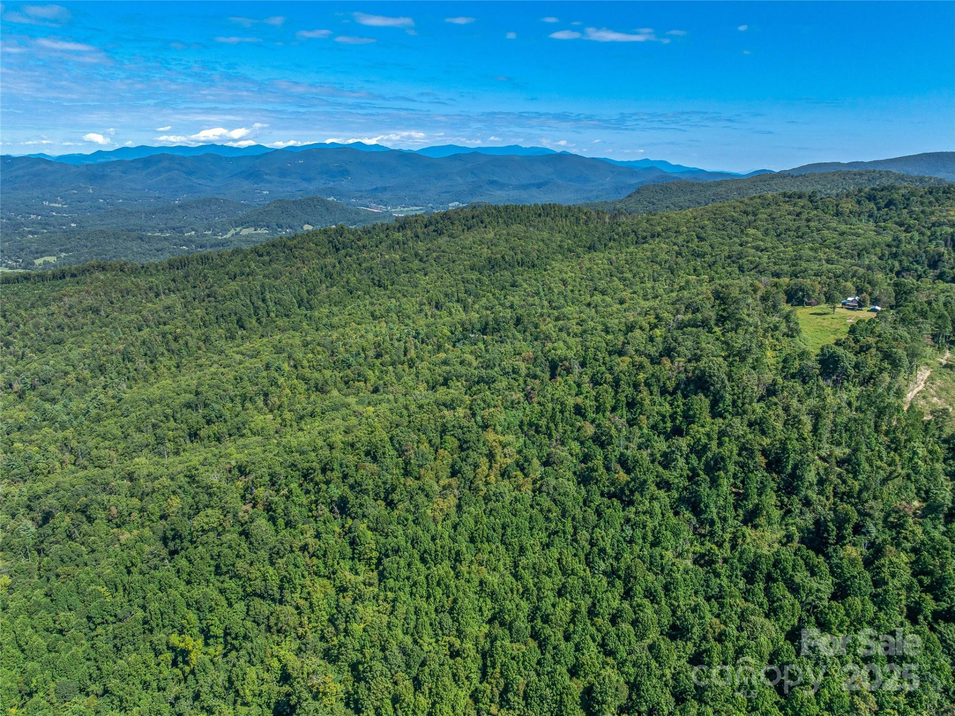 632 Justus Case Mountain Place - Photo 10