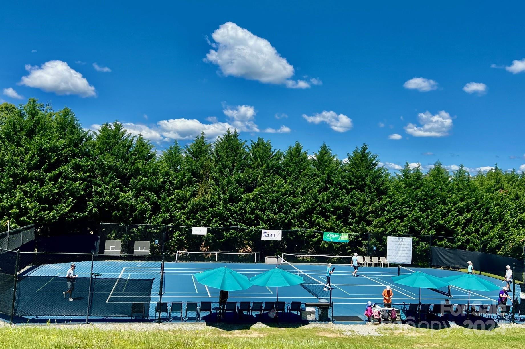 271 Mountain Morning Lane #41 - Photo 16