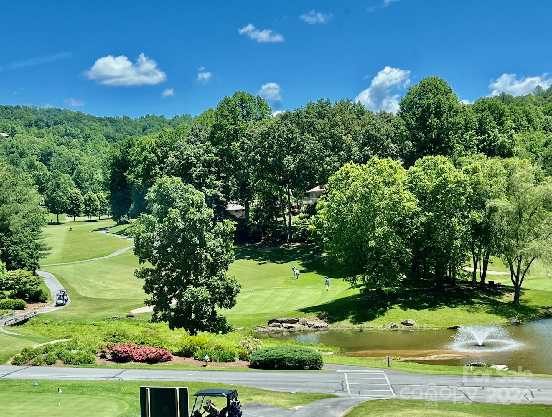 271 Mountain Morning Lane #41 - Photo 23