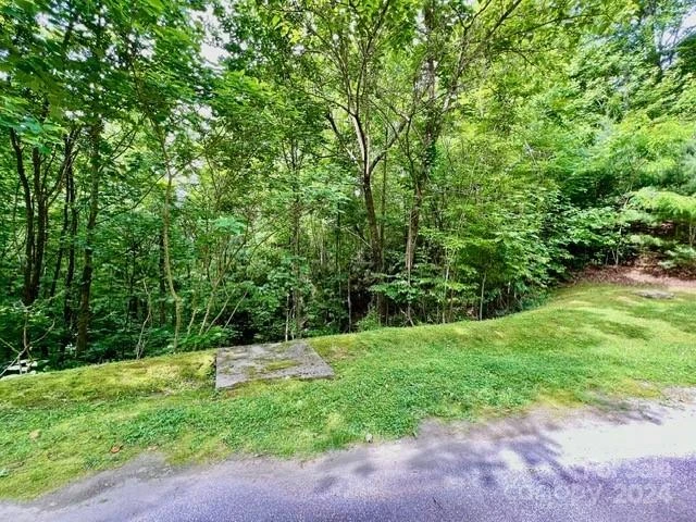 271 Mountain Morning Lane #41 - Photo 4