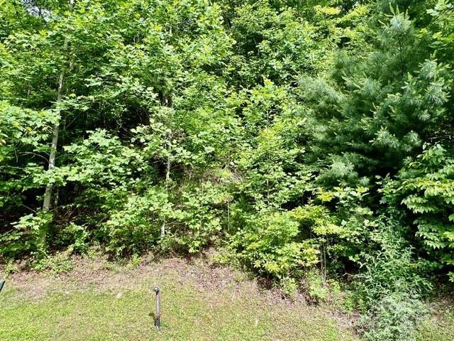 271 Mountain Morning Lane #41 - Photo 5