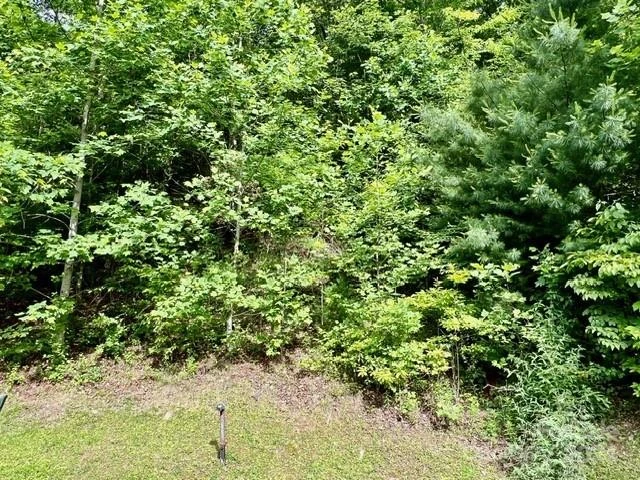 271 Mountain Morning Lane #41 - Photo 5