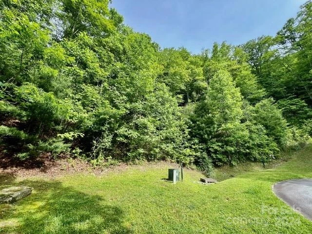 271 Mountain Morning Lane #41 - Photo 6