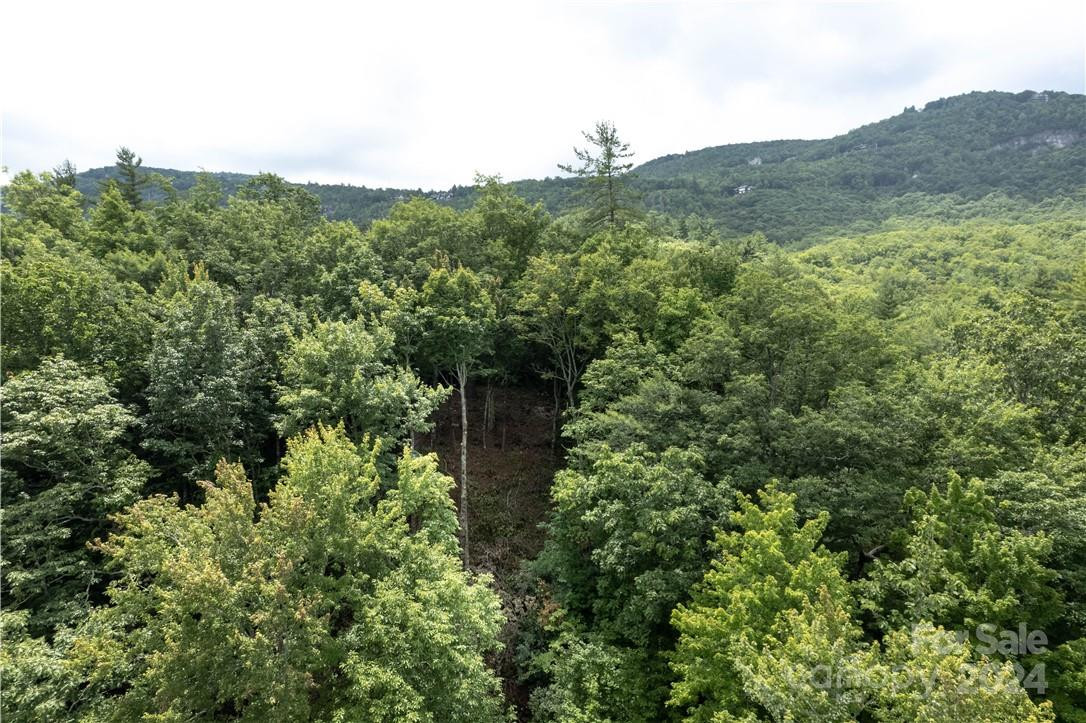 M 38 Cardinal Drive - Photo 16