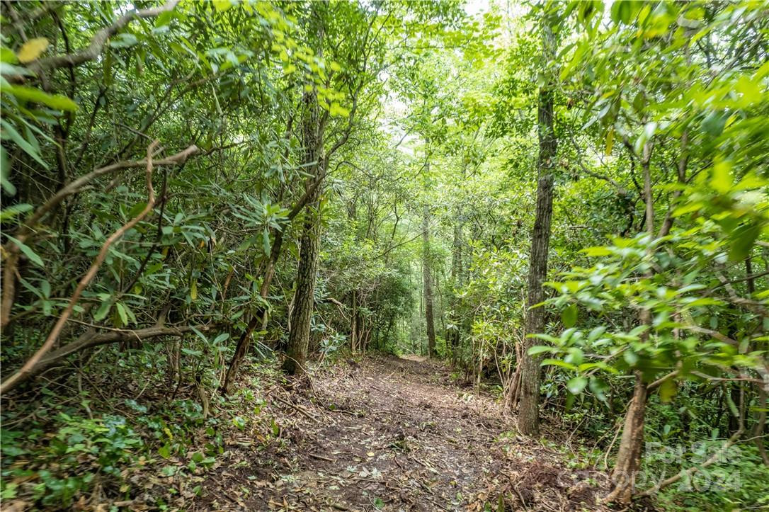 M 38 Cardinal Drive - Photo 19