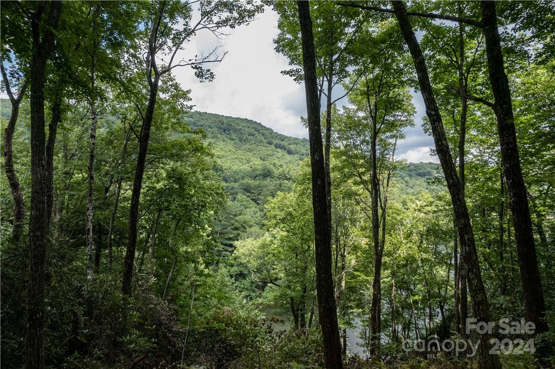 M 38 Cardinal Drive - Photo 6