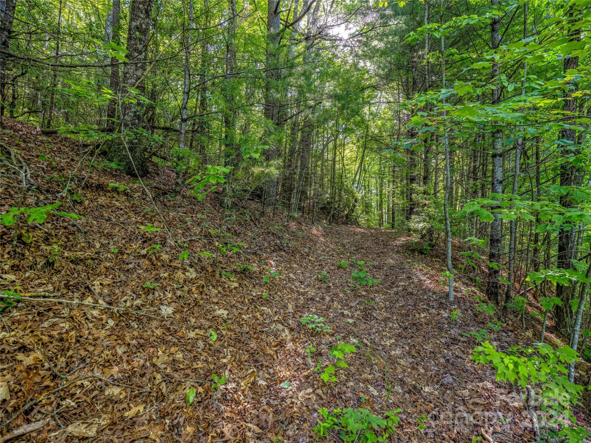 TBD (HM 103) Hawk Mountain Road - Photo 4