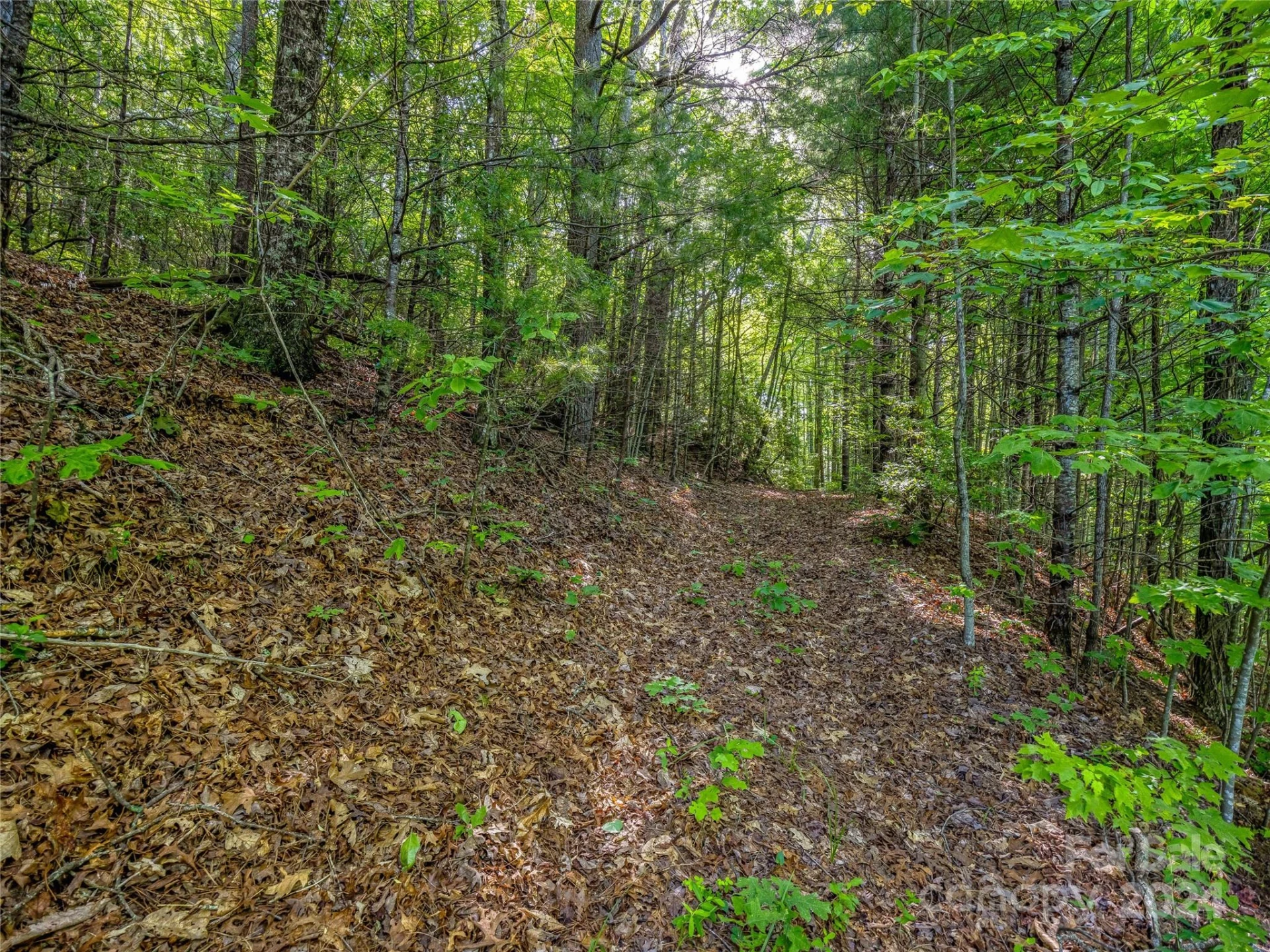 TBD (HM 103) Hawk Mountain Road - Photo 4