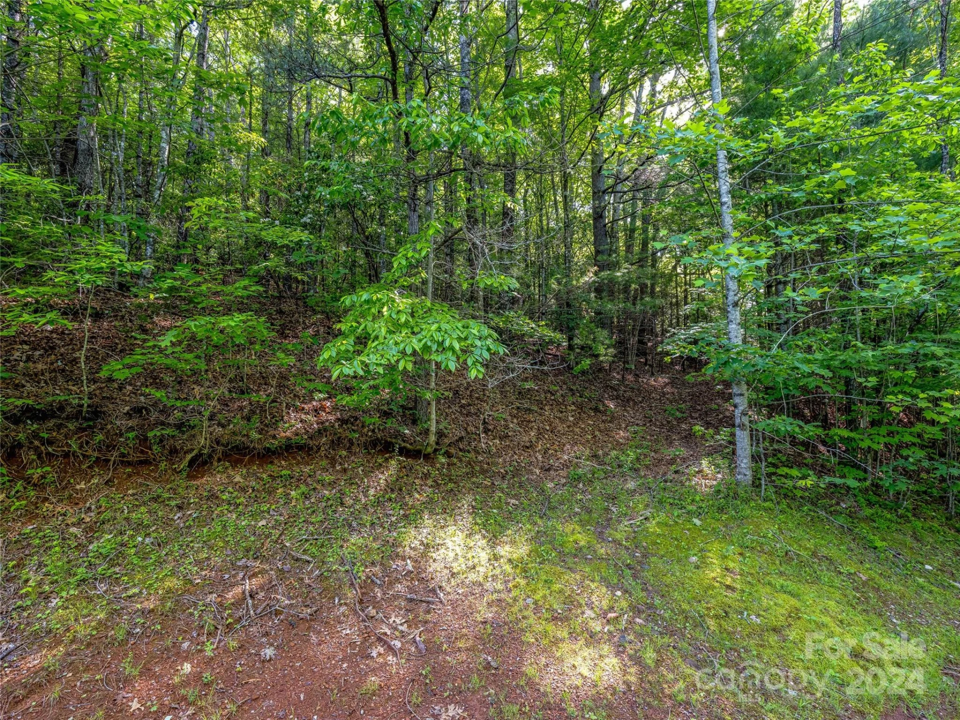 TBD (HM 103) Hawk Mountain Road - Photo 5