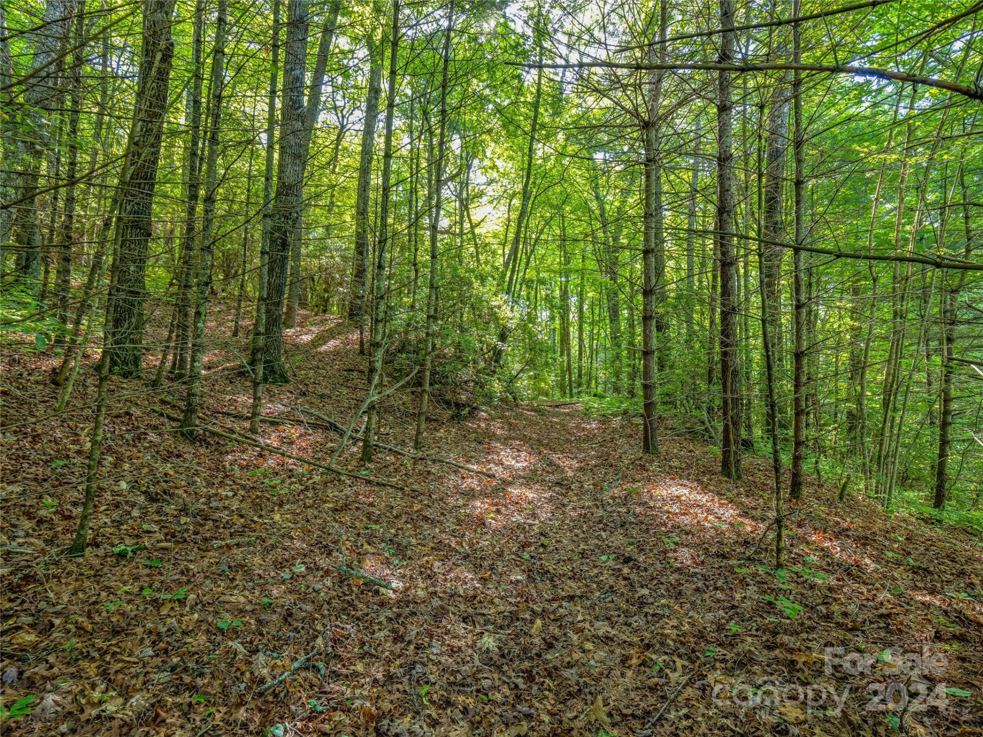 TBD (HM 103) Hawk Mountain Road - Photo 6