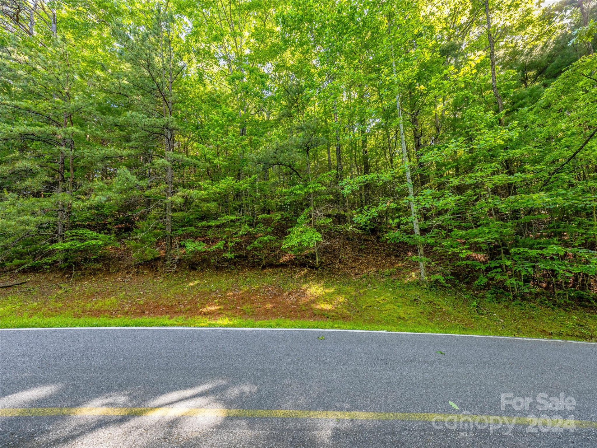 TBD (HM 103) Hawk Mountain Road - Photo 7