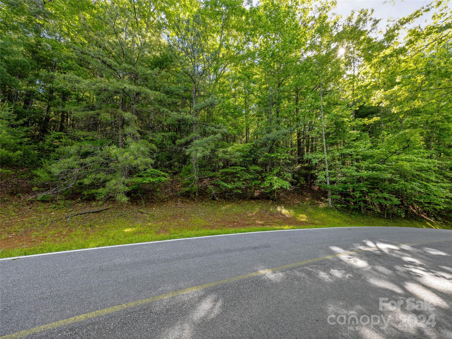 TBD (HM 103) Hawk Mountain Road - Photo 8