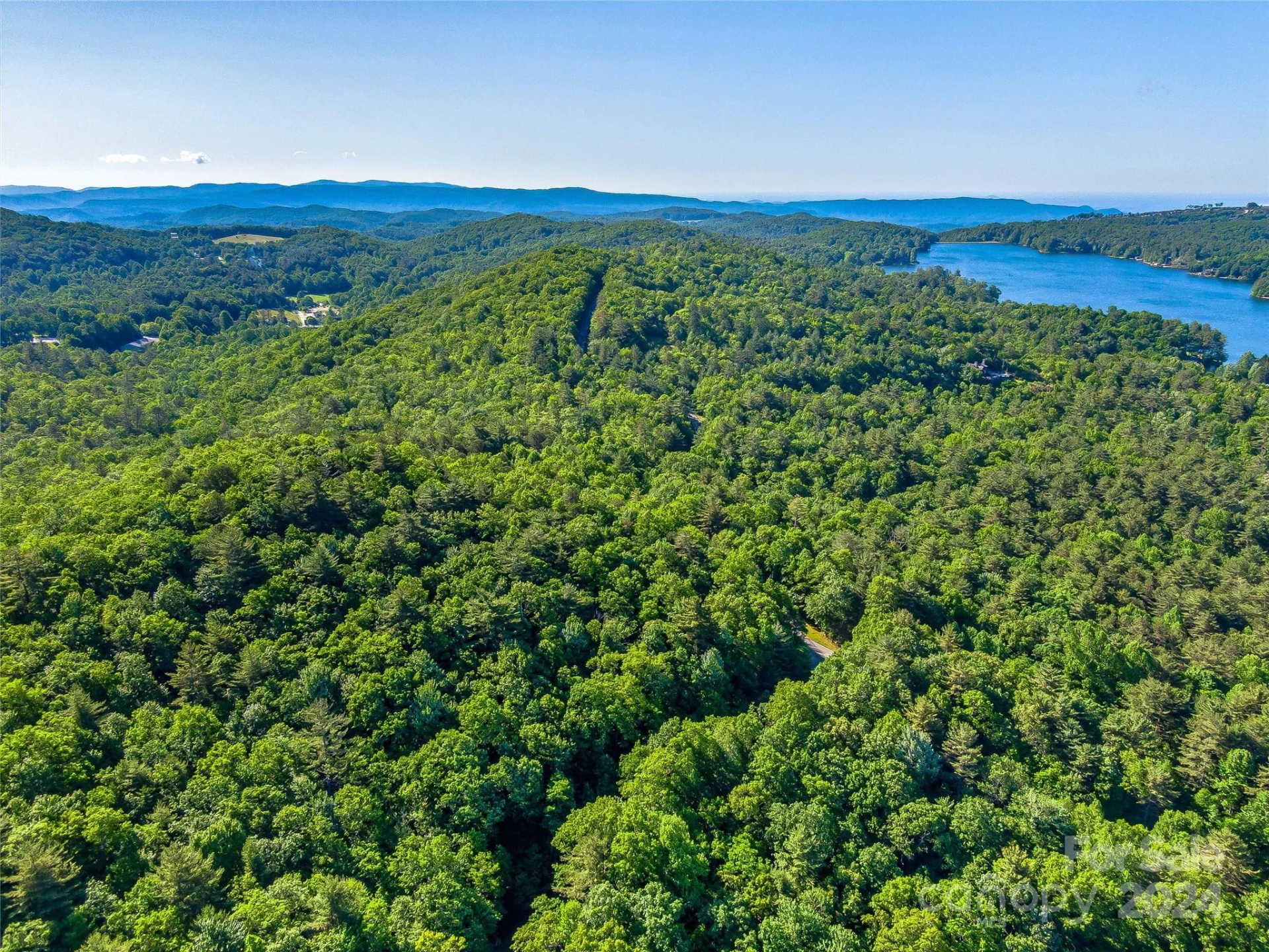 TBD (HM 103) Hawk Mountain Road - Photo 10