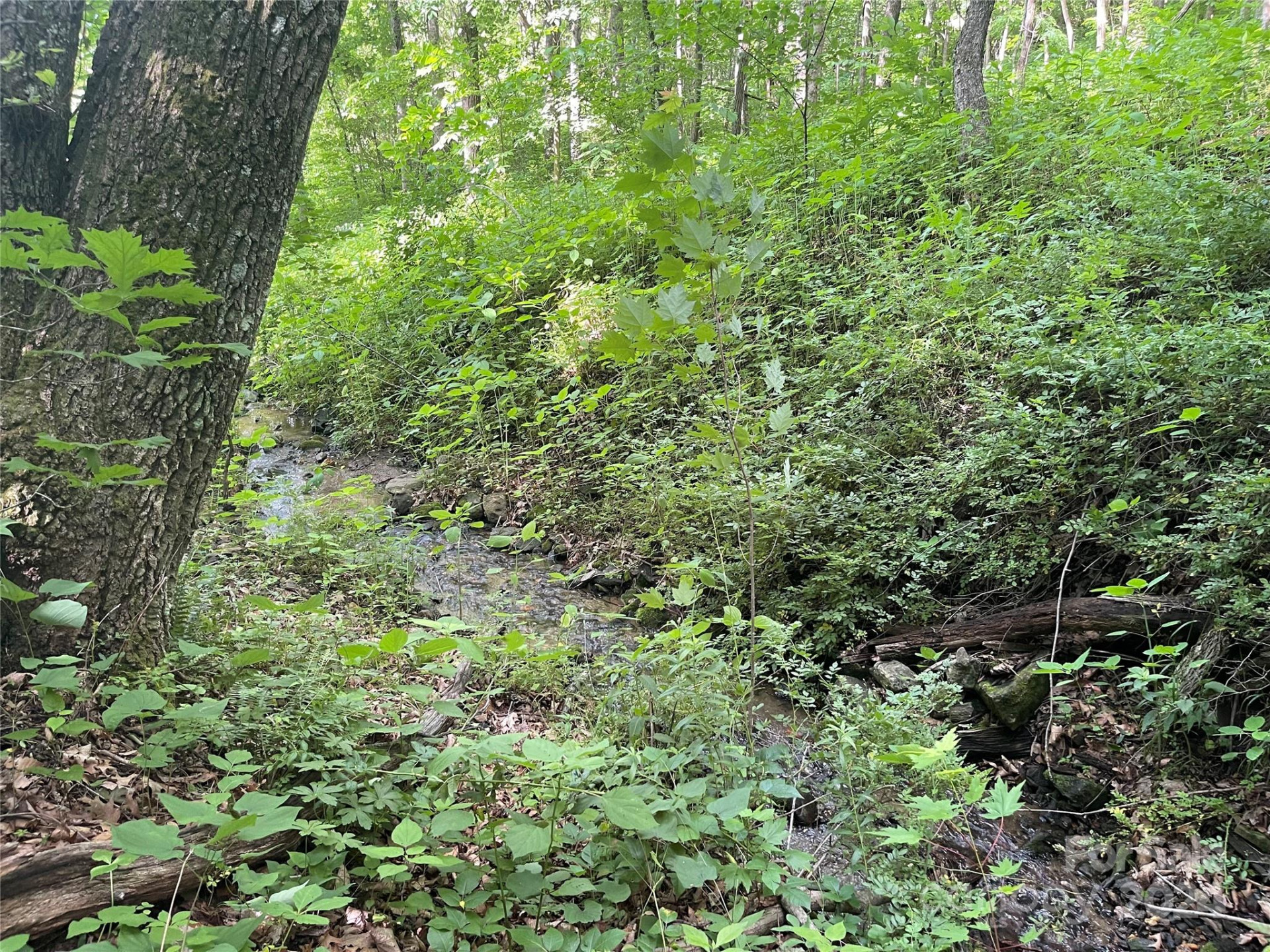 TBD Mountain Glen Road - Photo 2