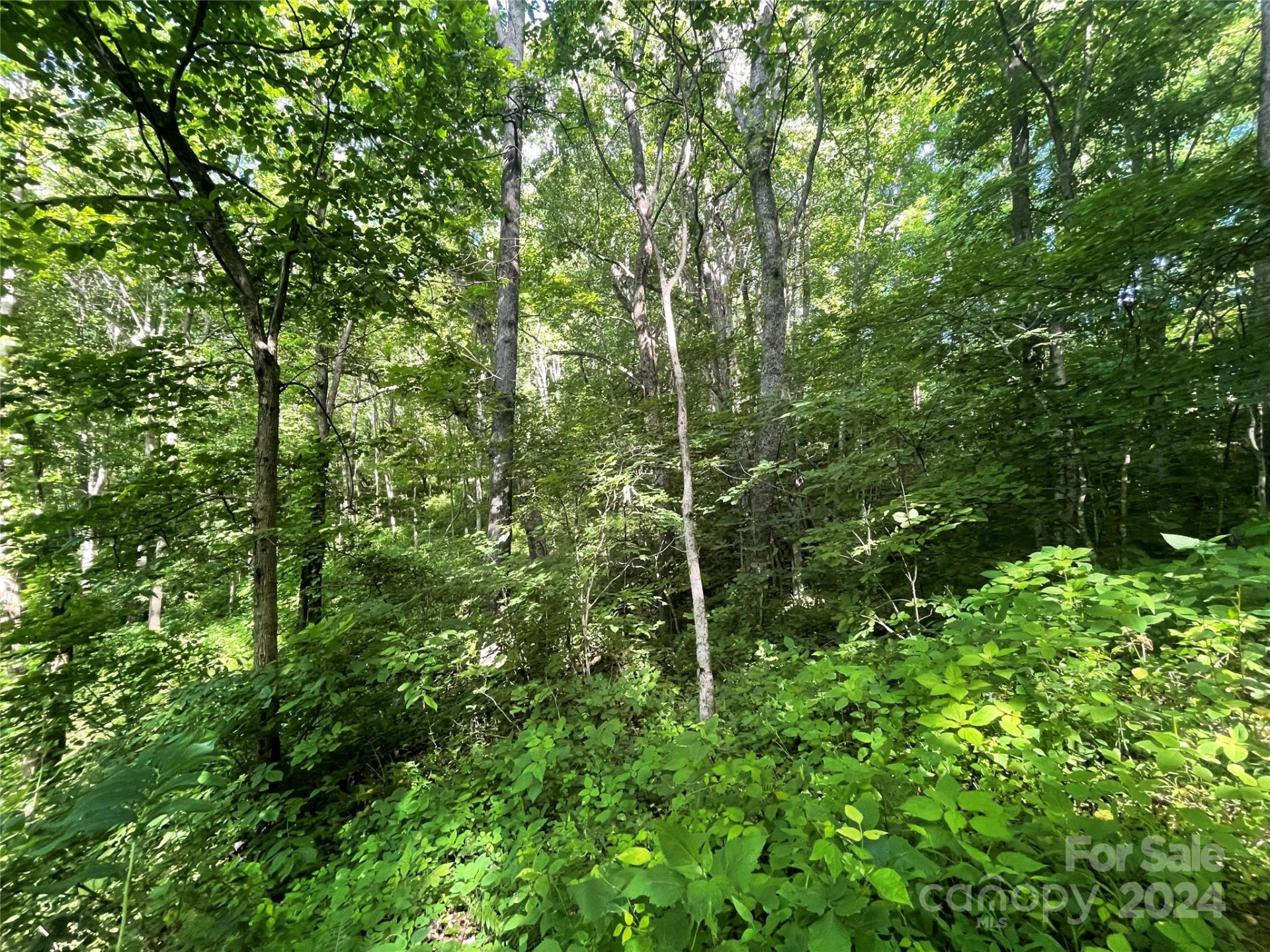 TBD Mountain Glen Road - Photo 3