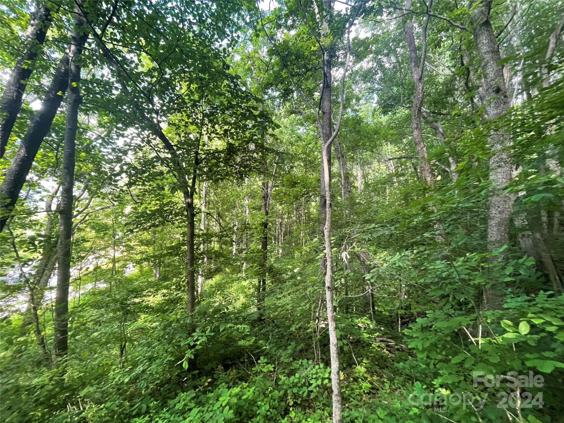 TBD Mountain Glen Road - Photo 4