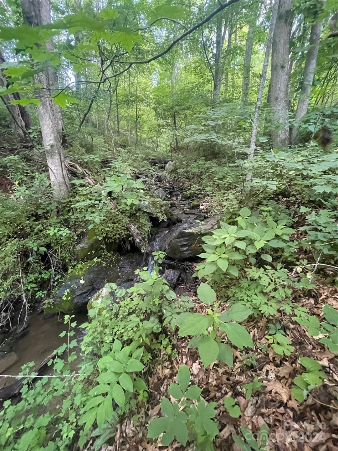 TBD Mountain Glen Road - Photo 5