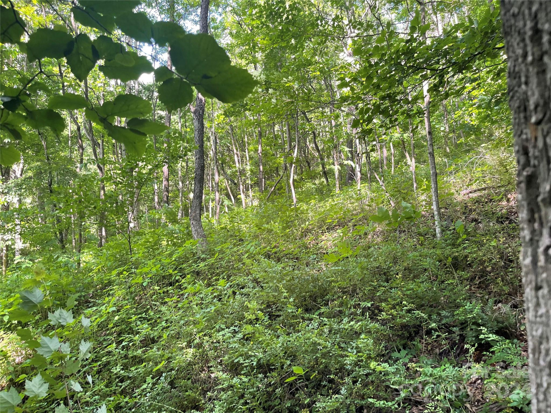 TBD Mountain Glen Road - Photo 6