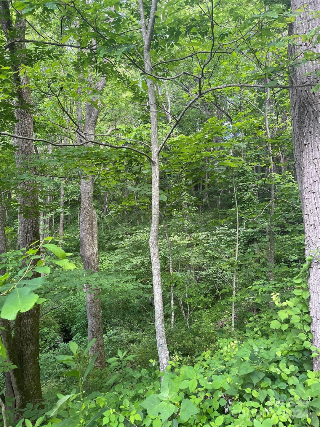 TBD Mountain Glen Road - Photo 7