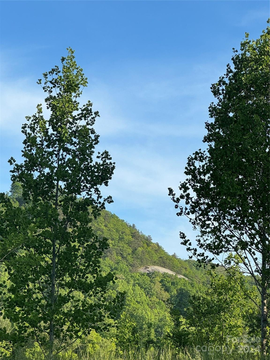 0 Waterfall Ridge Drive #8 - Photo 2