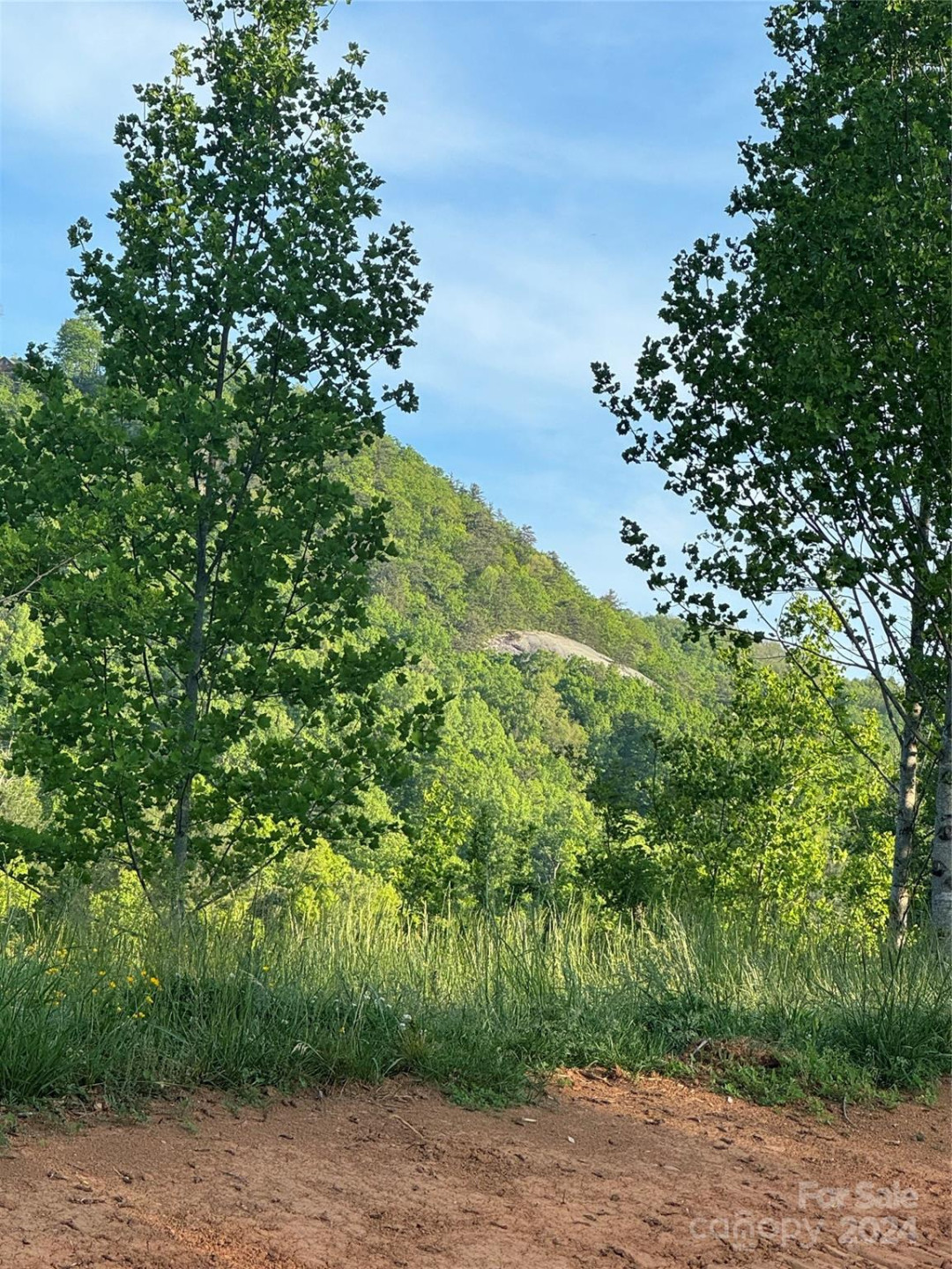 0 Waterfall Ridge Drive #8 - Photo 3