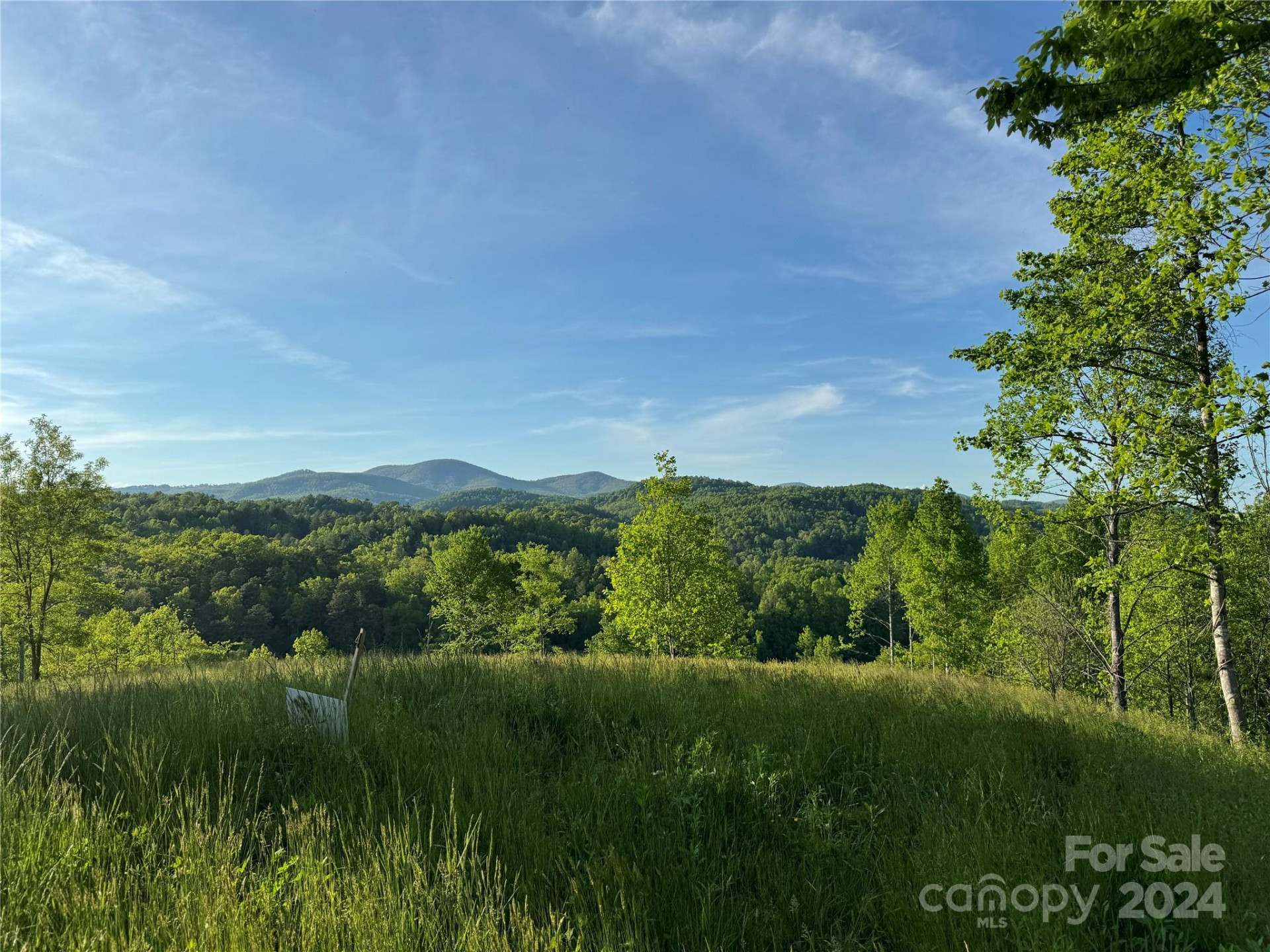 0 Waterfall Ridge Drive #8 - Photo 5