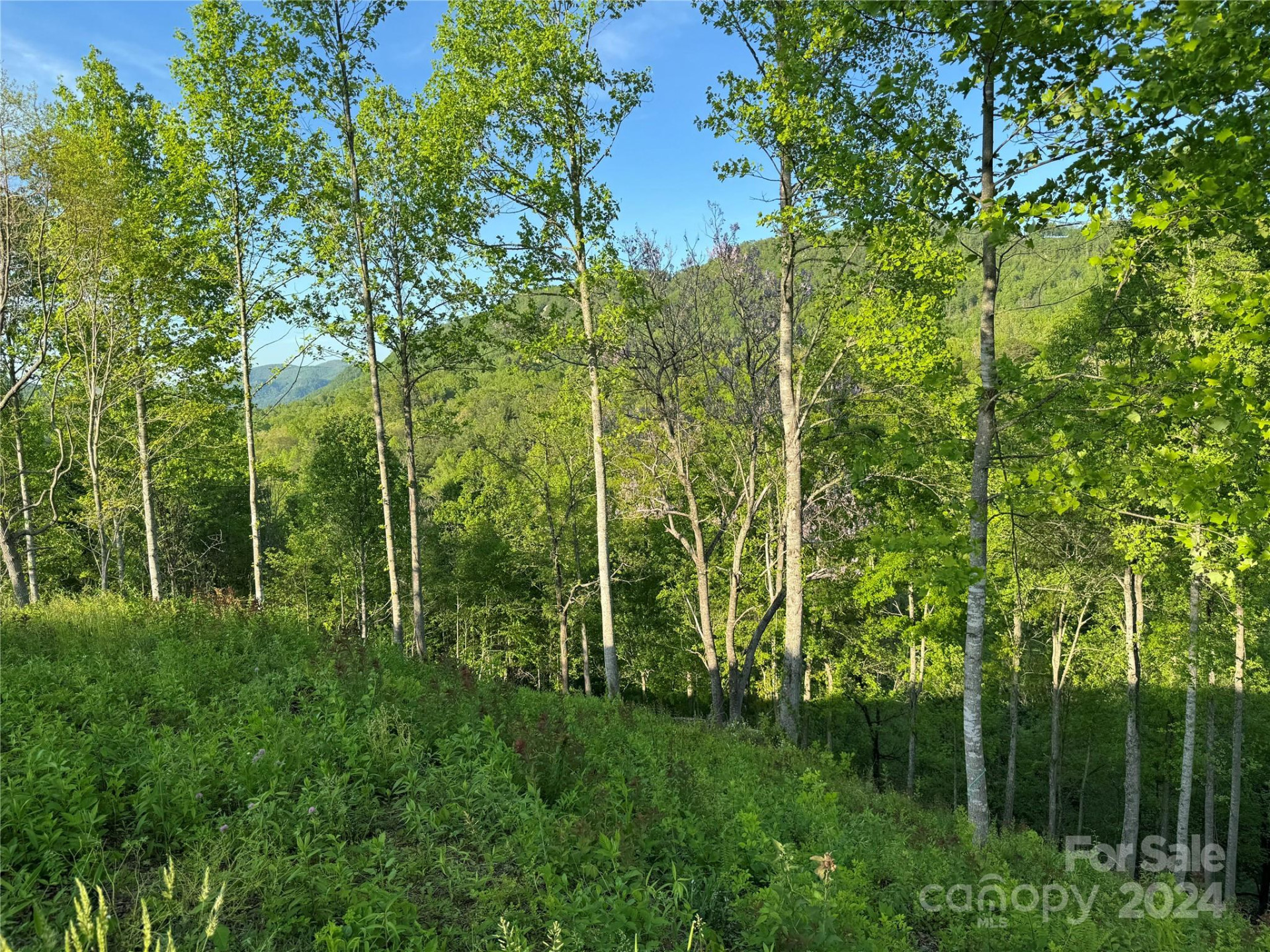 0 Waterfall Ridge Drive #8 - Photo 6