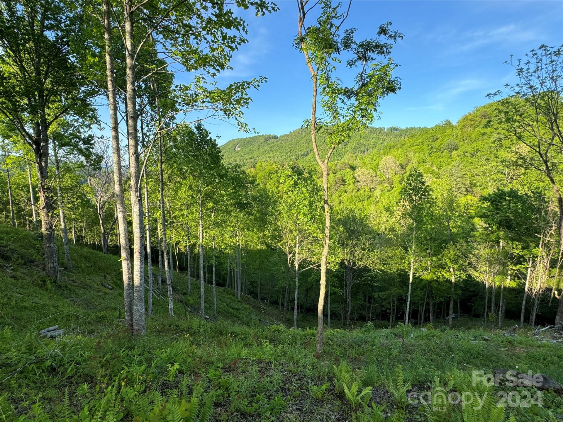 0 Waterfall Ridge Drive #8 - Photo 7