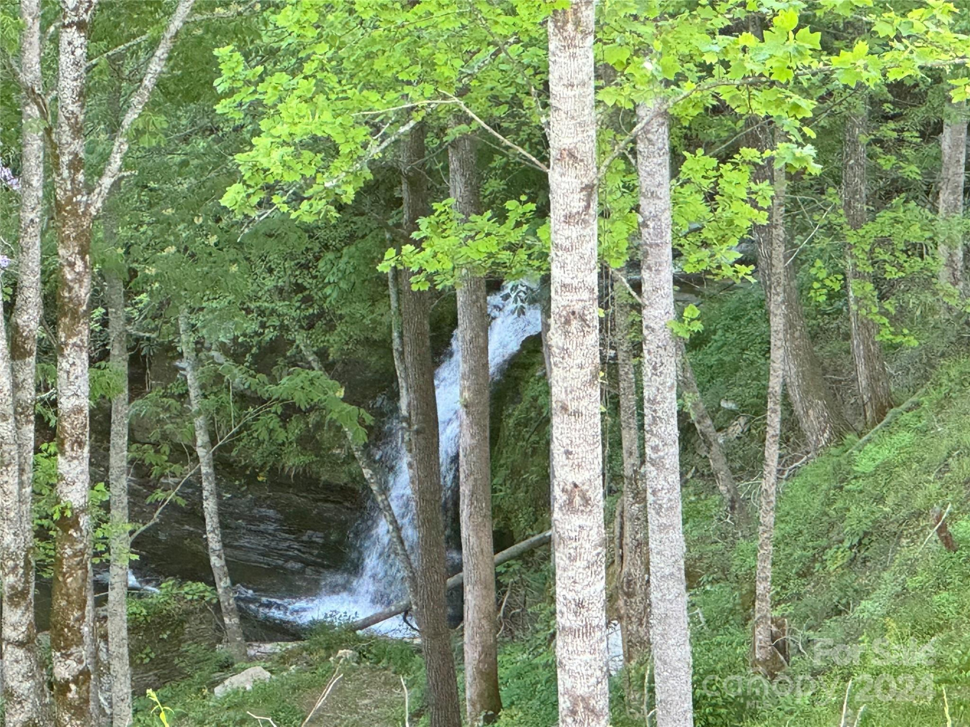 0 Waterfall Ridge Drive #8 - Photo 8