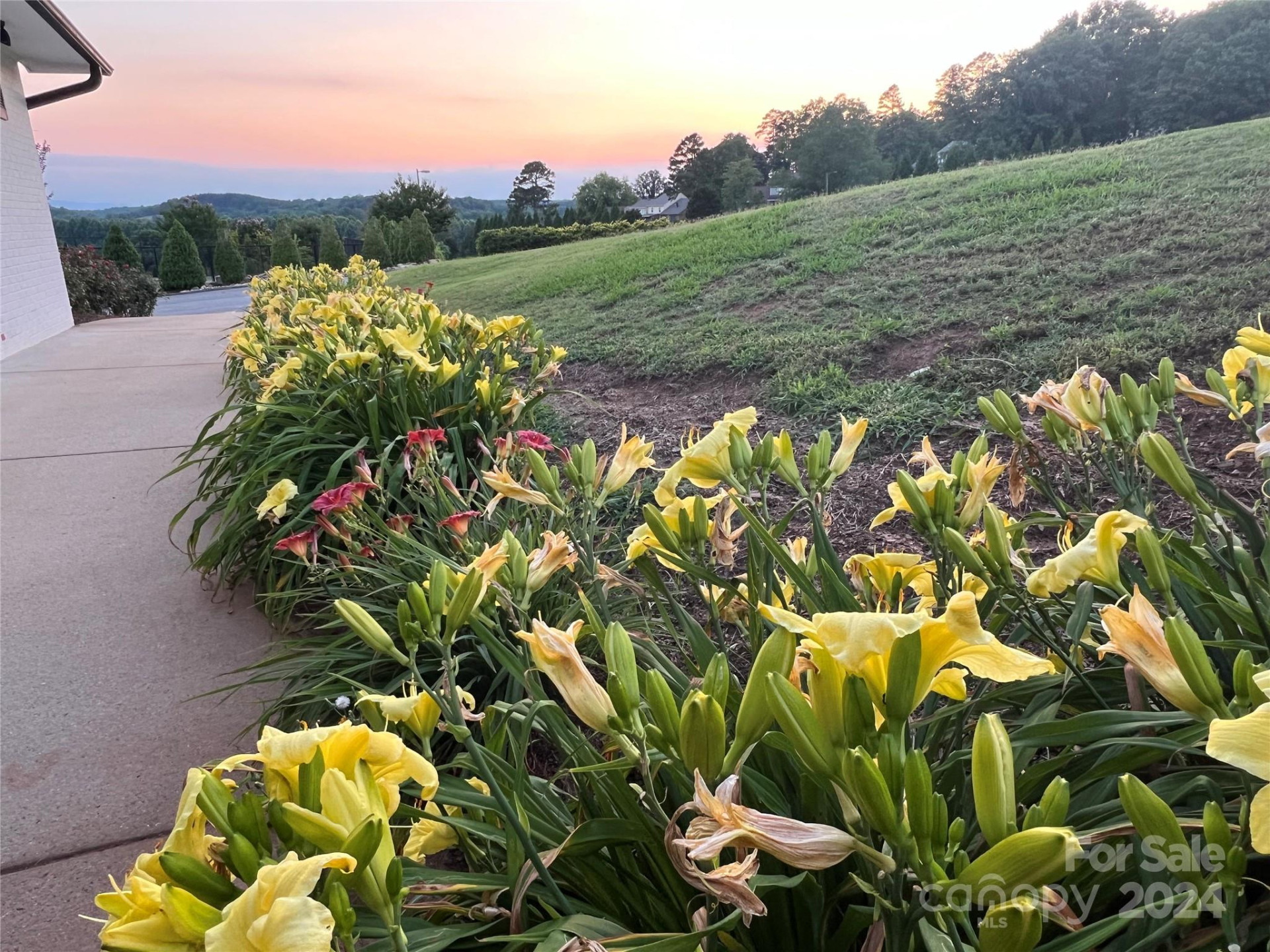 000 Moss Drive - Photo 13