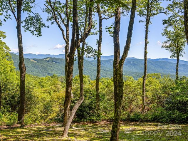 PS 3 Panther Summit Drive