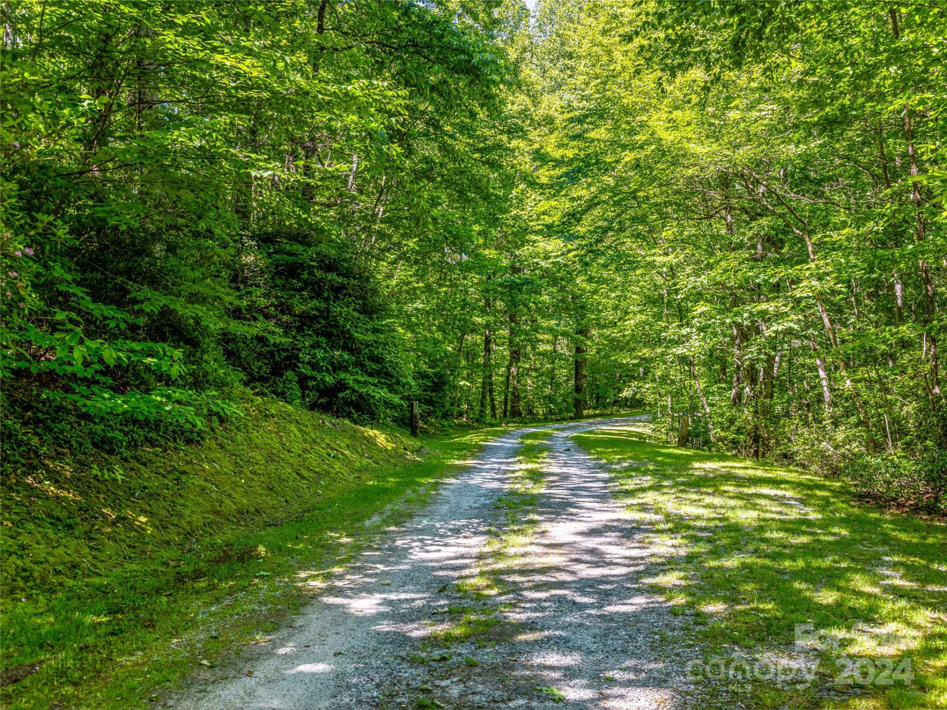 PS 3 Panther Summit Drive - Photo 3