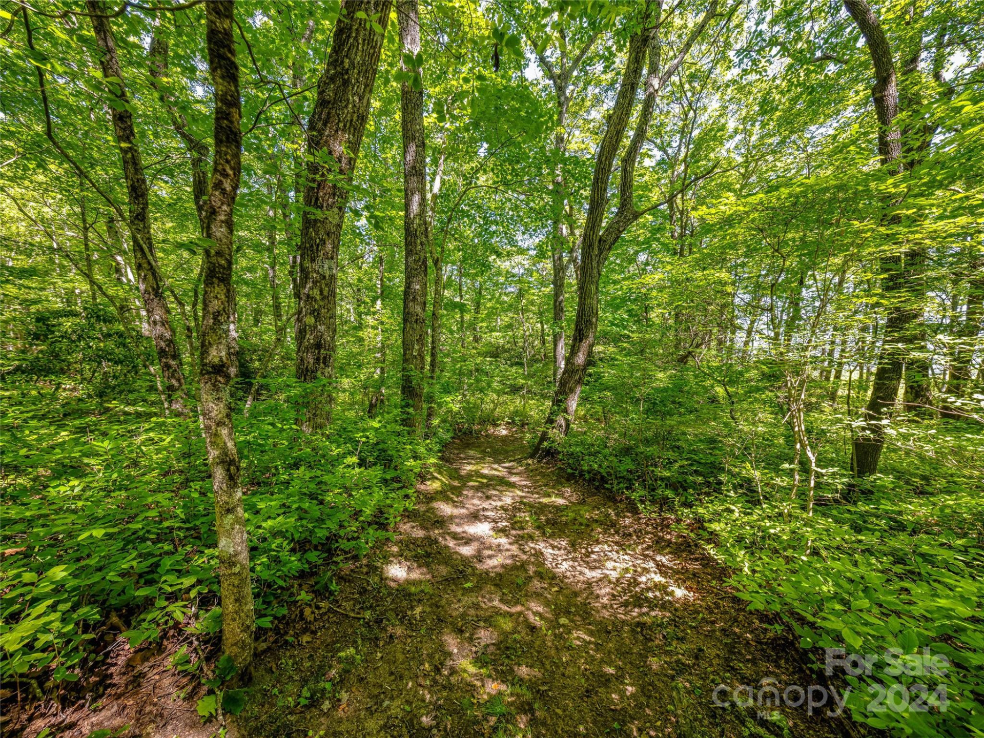 PS 3 Panther Summit Drive - Photo 4